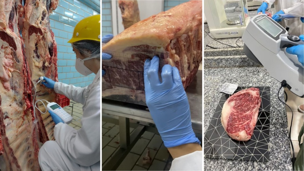 Cortes de carne de bovinos da raça Wagyu. Foto: Divulgação