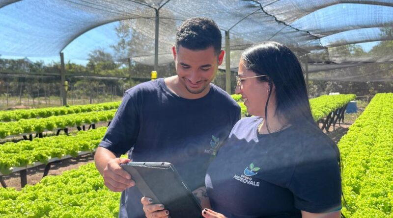 Na foto, aparece um casal e ao fundo a produção de alface em MT
