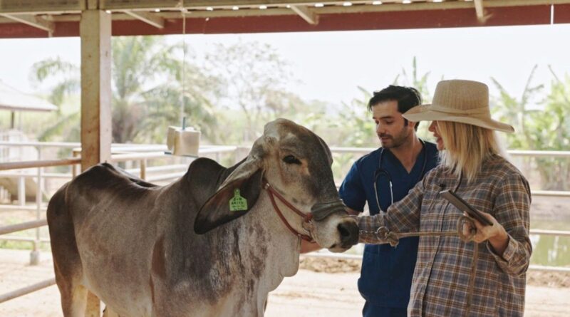 Dia do Veterinário: a importância do profissional para a produção de alimentos no agro