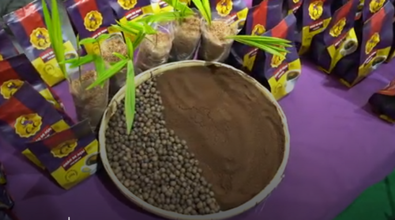 Pacotes de 'Café de açaí, mudas de açaí e caroços de açaí