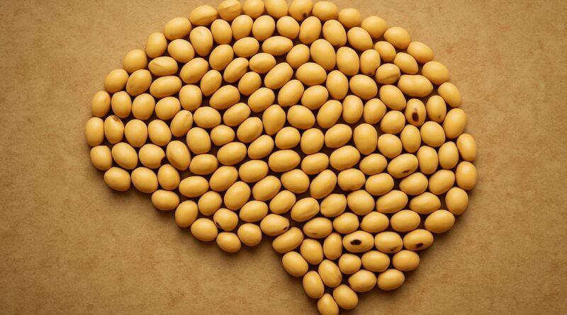 A voz de líderes conscientes para o agroconsciente