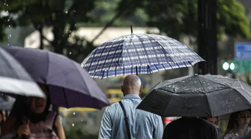 Chuva e ventos fortes derrubam árvores e deixam 900 mil sem energia