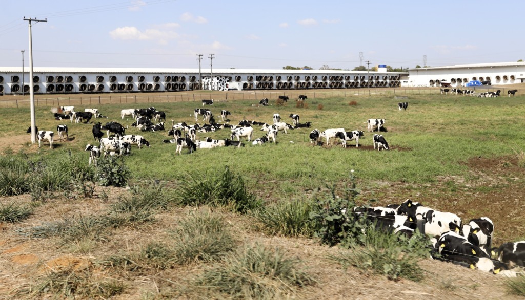 Fazenda Colorado - SP