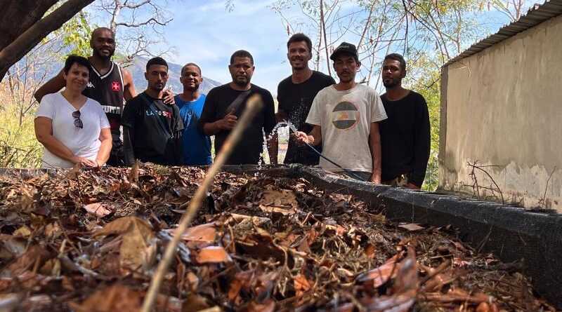 compostagem, gongocompostagem