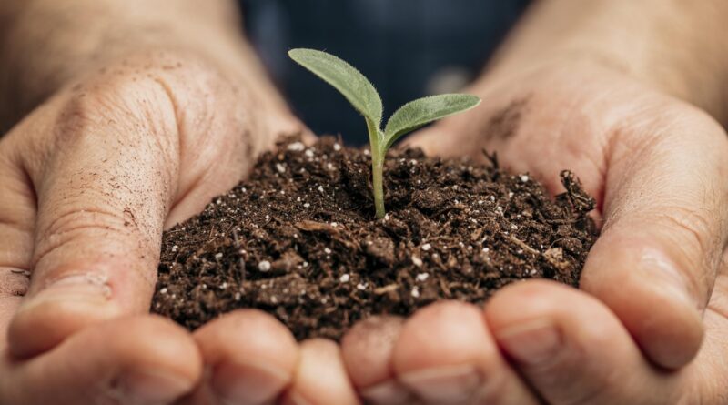 Guia prático de finanças sustentáveis no agro é lançado pelo Pacto Global da ONU