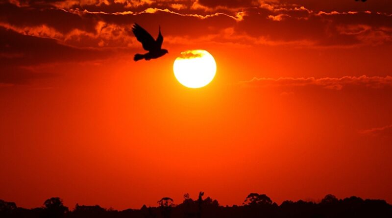 Horário de verão vai voltar? Bares e restaurantes pressionam governo por retorno da medida