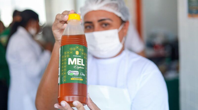 Após taxação dos EUA, produtores destinam 11 toneladas de mel para merenda escolar