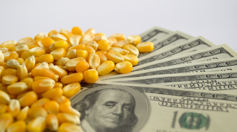 paralisação nos EUA e feriado na China devem afetar os preços