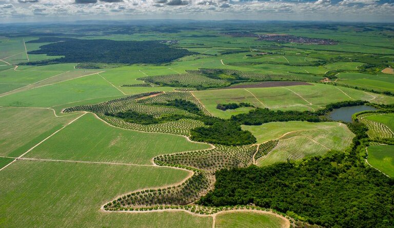 propriedades rurais, projeto