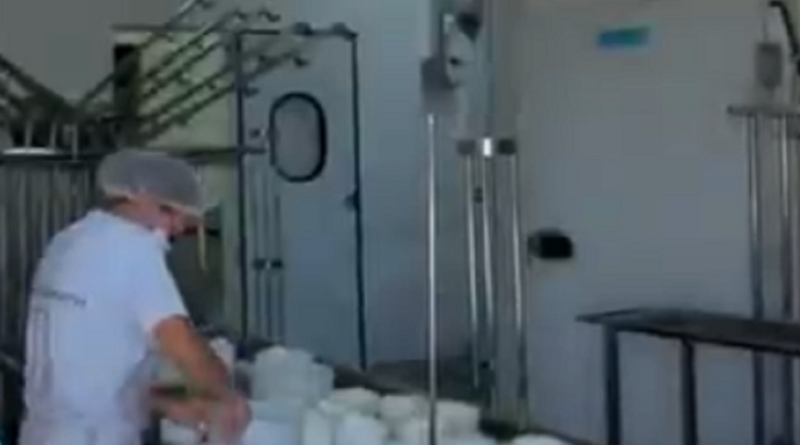 Queijo de Guapó (GO) conquista 3º lugar no prêmio promovido pela CNA