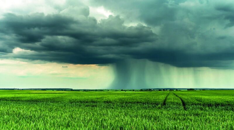 Às vésperas da COP30, bloqueio de recursos ameaça o seguro rural no Brasil