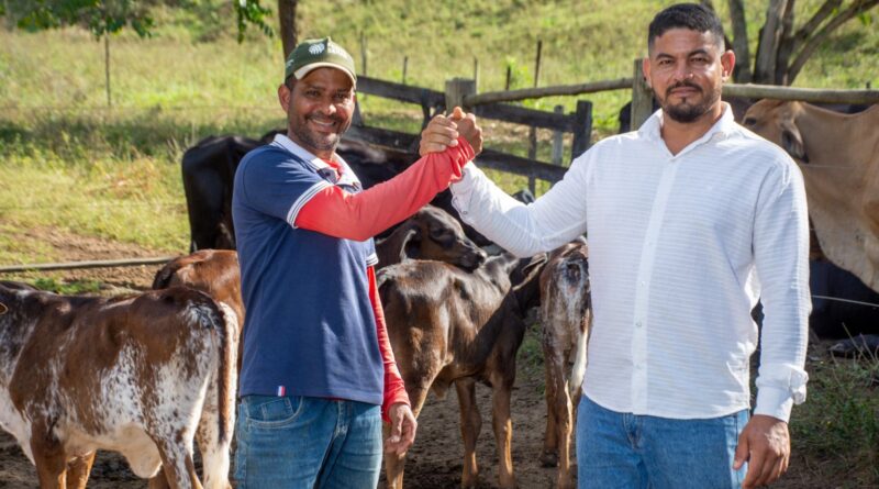 Produtores mineiros aumentam produção de leite em 700%