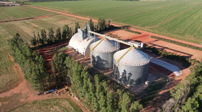 Em MT, produtores enfrentam dificuldades para acessar crédito no início do plantio de soja