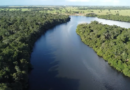 Mato Grosso