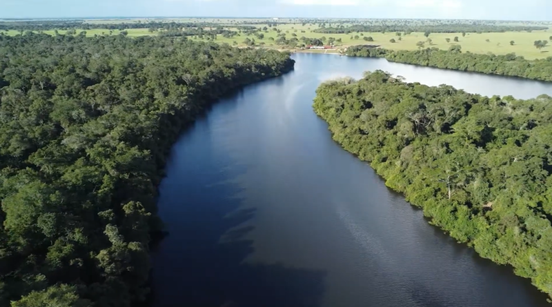 Mato Grosso