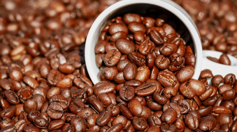 Exportações de café caem 18% em setembro com tarifaço dos EUA
