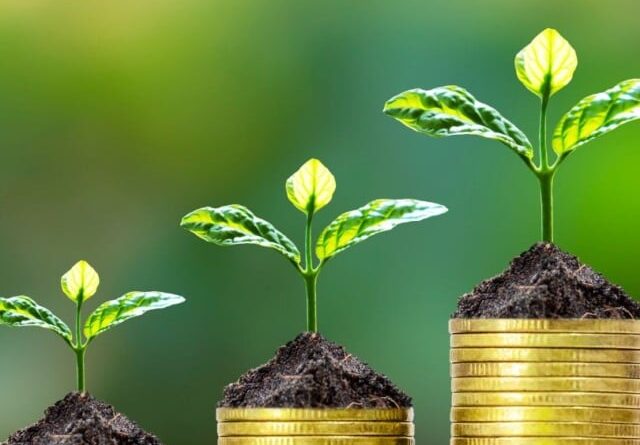 Escassez de recursos e inadimplência podem ameaçar próxima safra no Brasil