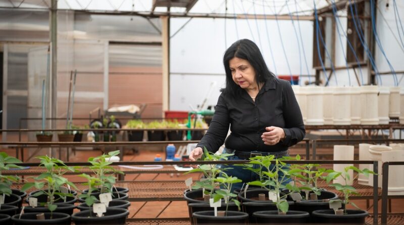 Mariangela Hungria, da Embrapa, entra para lista de personalidades mais influentes em ações pelo clima