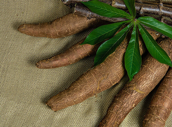 Foto: Fabiano Bastos