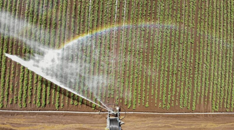 Missão técnica nos EUA busca trazer referências de irrigação para o RS