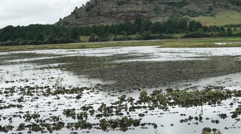 'No aperto, você não serve para o banco'