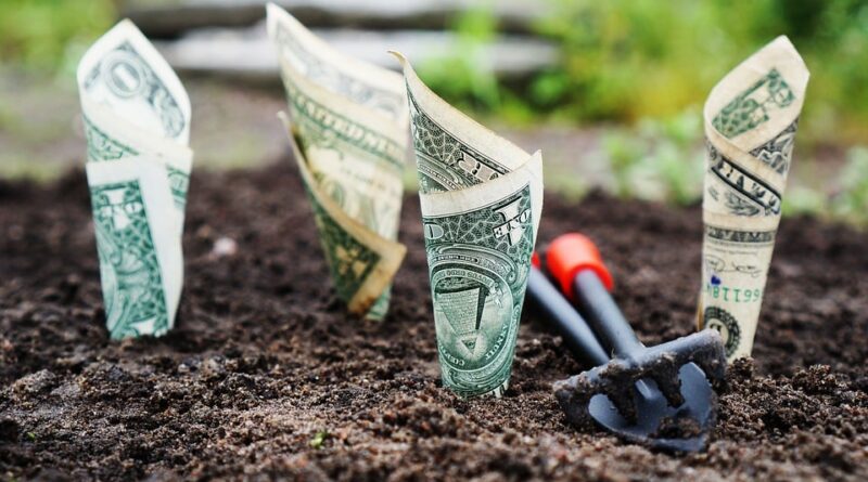 dinheiro, EUA, Estados Unidos, dólar - bancos - taxa do agro