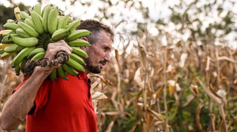 Senar e MDA firmam acordo para levar assistência técnica a 100 mil pequenos produtores