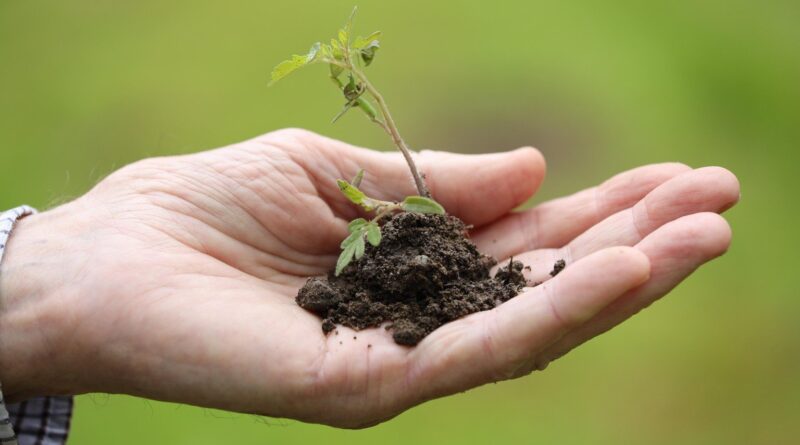Entidades defendem protagonismo do agro na mitigação climática e pedem revisão do Plano Clima