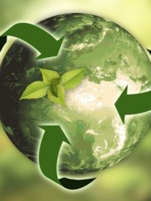 Seminário Inovação e Sustentabilidade no Cooperativismo - manaus - giovani ferreira 0 ocb - agricultura regenerativa