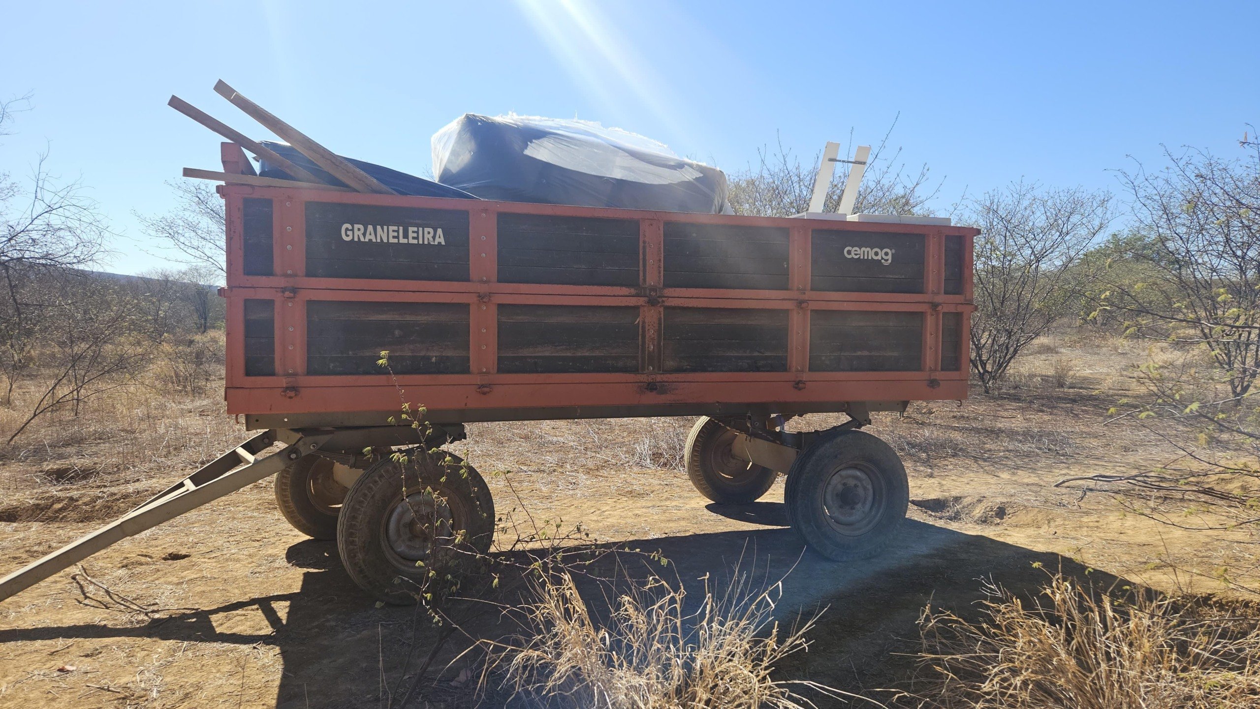 polícia civil desarticula fazenda com plantação de maconha de 4 hectares na Bahia