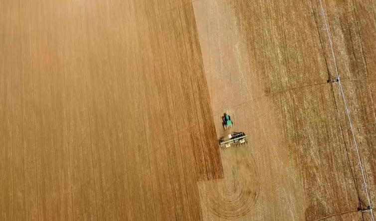 Programa Soja Brasil 41