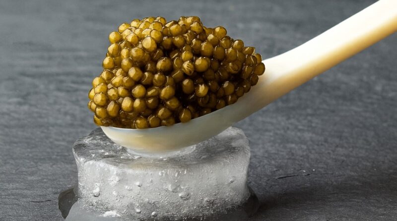 Ibama apreende 19 toneladas de ovas douradas que iam para Taiwan