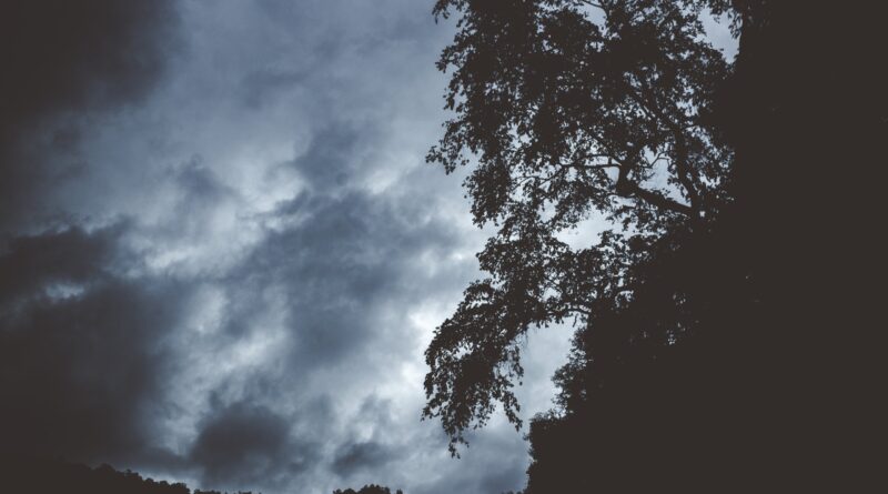 Você quer entender como usar o clima a seu favor? Preparamos um e-book exclusivo para ajudar produtores rurais a se antecipar às mudanças do tempo e planejar melhor suas ações. Com base em previsões meteorológicas confiáveis, ele oferece orientações práticas para proteger sua lavoura e otimizar seus resultados.