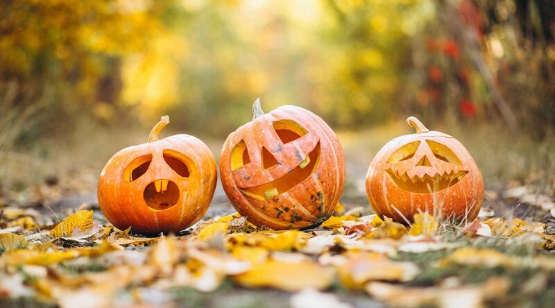 Halloween, festa da colheita que virou tradição mundial