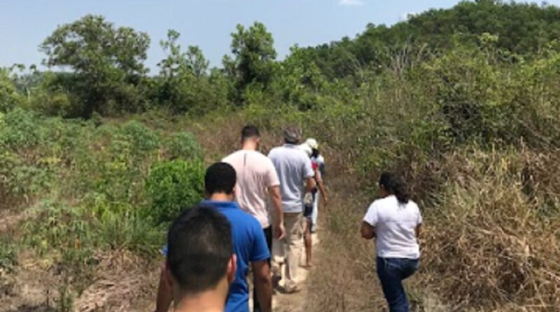 'Roça sem fogo' inspira soluções sustentáveis para a COP30