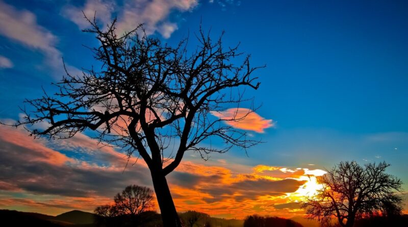 Plano Clima busca reposicionar Brasil como liderança climática global