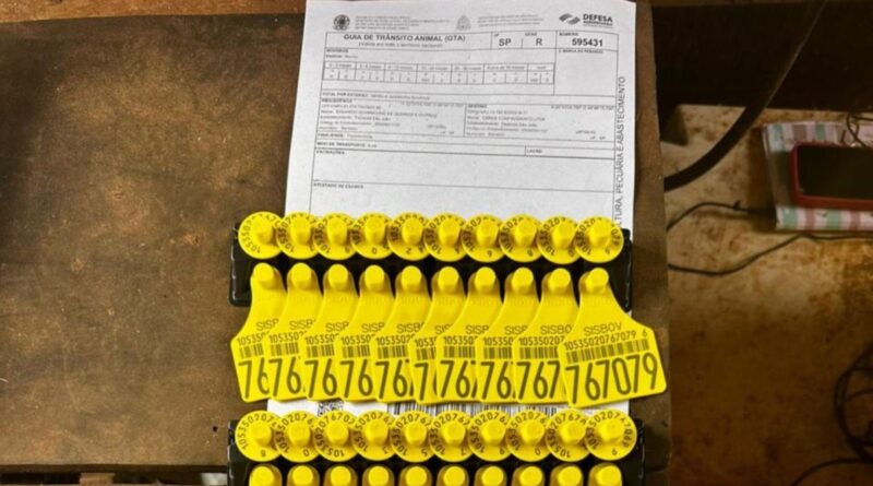 como o plano nacional de rastreamento de bovinos pode ajudar o pecuarista