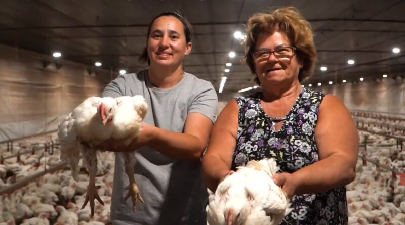 5 histórias que mostram protagonismo das mulheres no campo