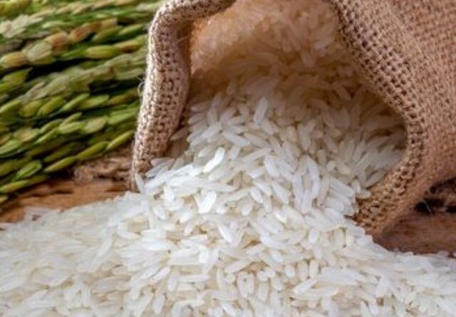 Abiarroz lança campanha para valorizar pratos tradicionais com arroz