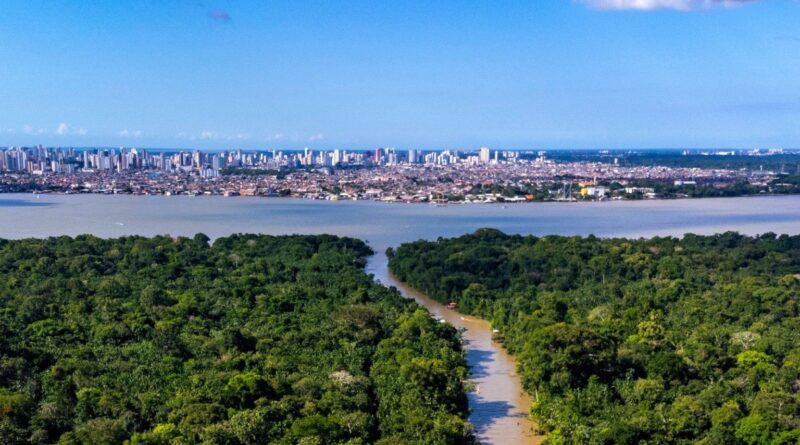 Na COP30, Brasil assume liderança no mercado de carbono