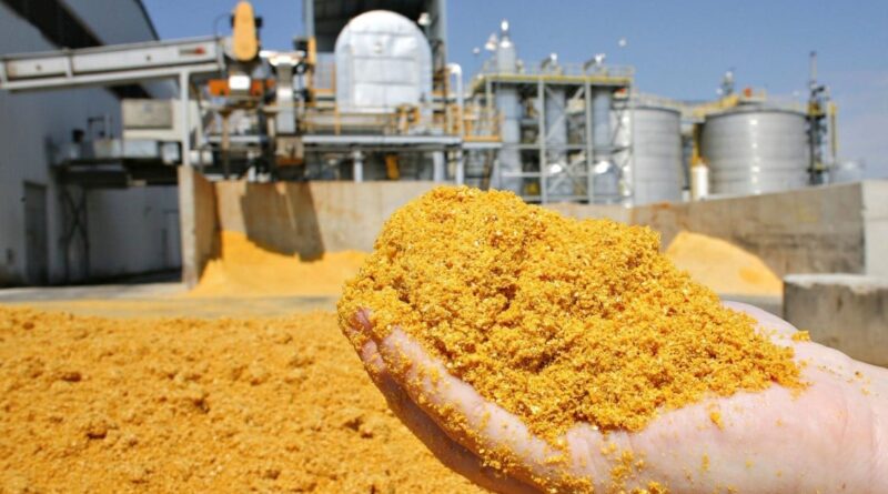 Brasil abre novos mercados para DDG, amêndoas de macaúba e noz-pecã