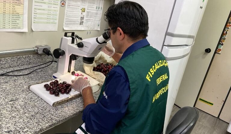 Foto: Mapa/ Allan Zubiate