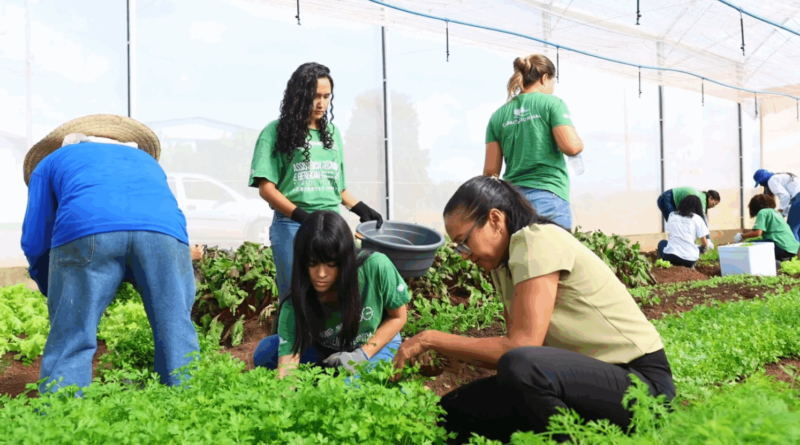 Cooperativas baianas movimentaram mais de R$ 9 bi em 2024