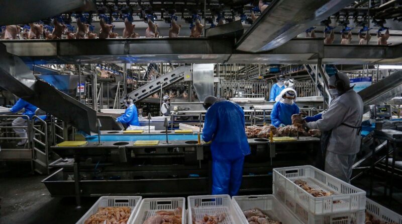 Paraná retira carnes de aves cozidas do regime de substituição tributária