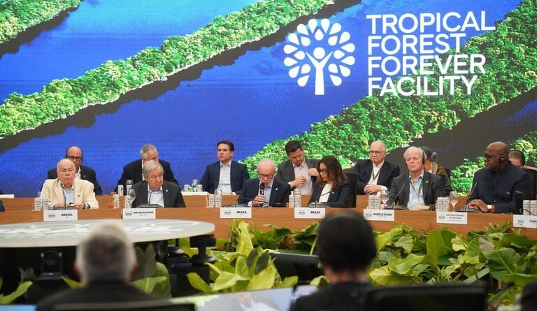 Fundo Florestas Tropicais Para Sempre