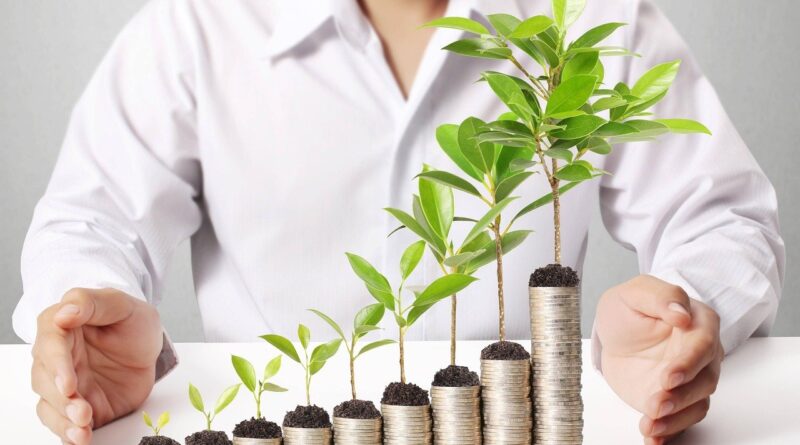 Mais da metade dos empresários considera bioeconomia importante, diz pesquisa