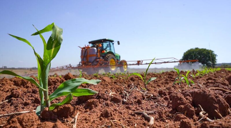 Foto: Maurien Trabbold /Embrapa Divulgação