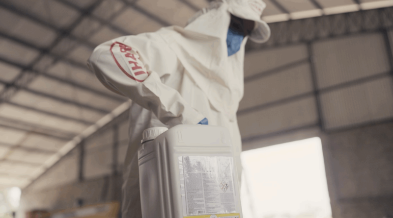 Reprodução Canal Rural/Programa IHARA