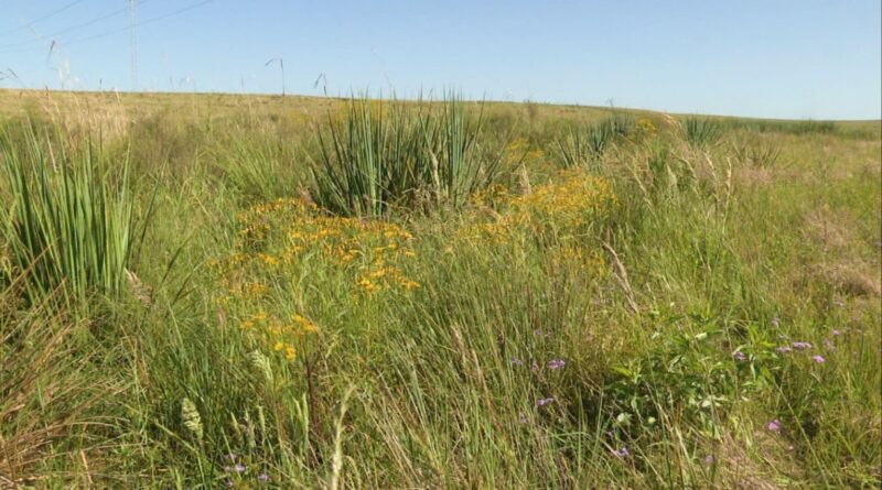 o que fazer para impedir prejuízos na fazenda?