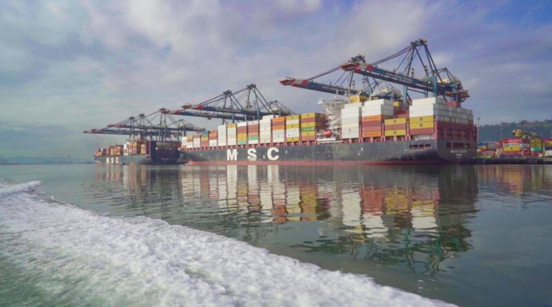 Movimentação de contêineres cresce 11,6% e bate recorde no Porto de Santos